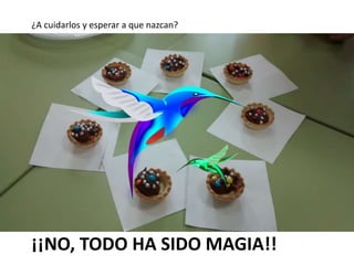 ¡¡NO, TODO HA SIDO MAGIA!!
¿A cuidarlos y esperar a que nazcan?
 