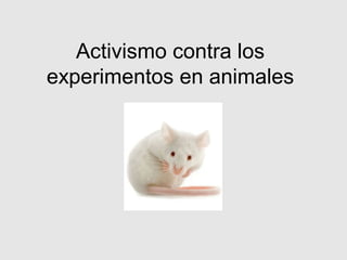 Activismo contra los
experimentos en animales
 