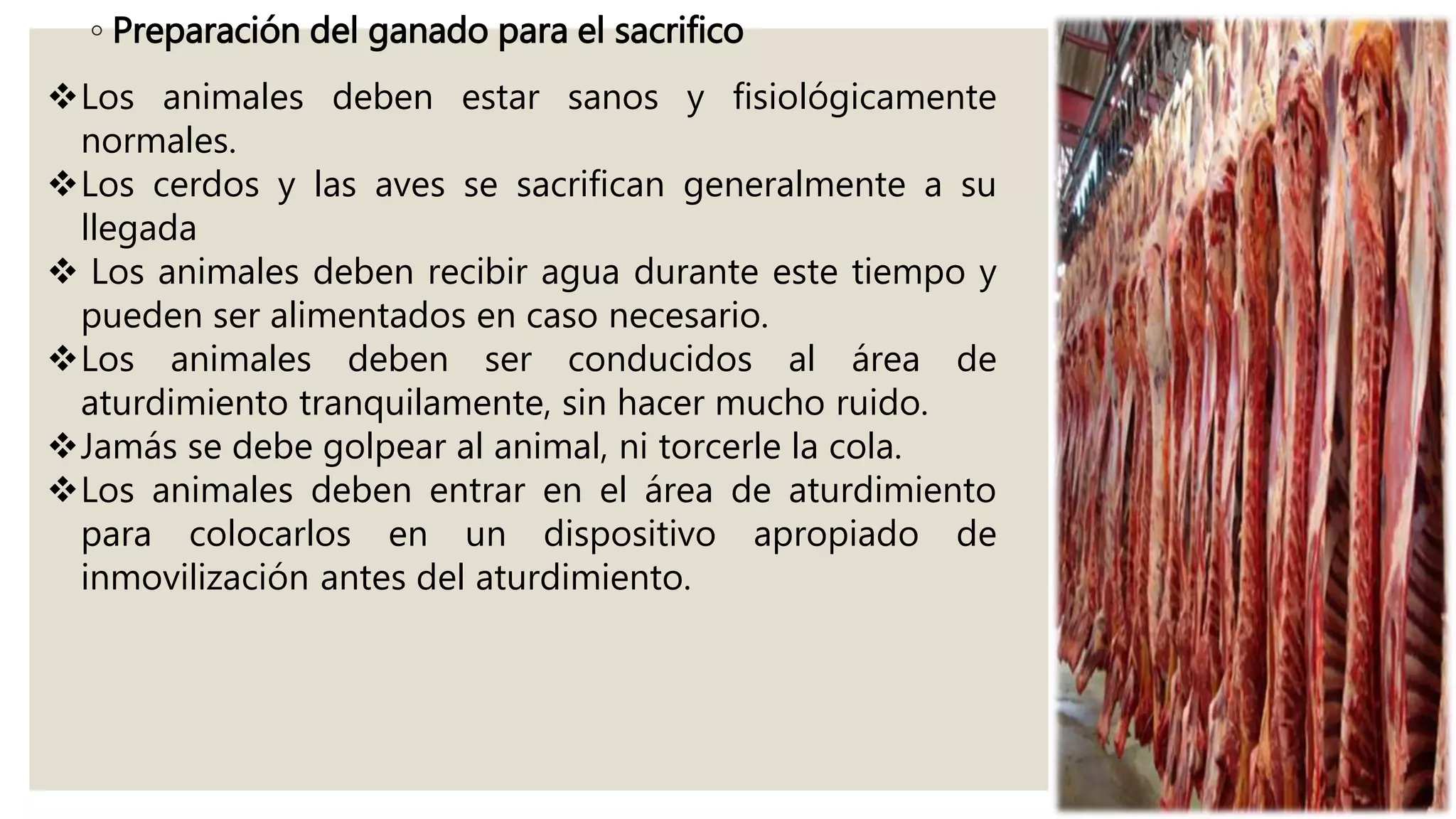 Sacrificio Animal | PPT