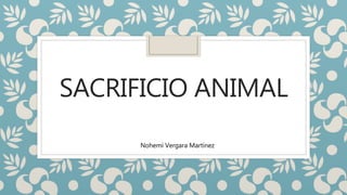 SACRIFICIO ANIMAL
Nohemí Vergara Martínez
 