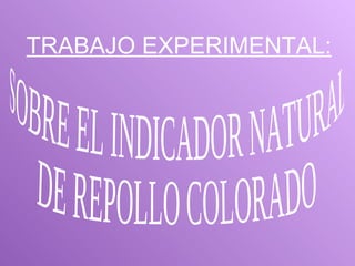 TRABAJO EXPERIMENTAL: SOBRE EL INDICADOR NATURAL  DE REPOLLO COLORADO 