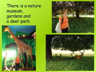 There is a nature
museum,
gardens and
a deer park.
 