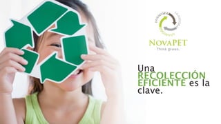 Una
RECOLECCIÓN
EFICIENTE es la
clave.
 