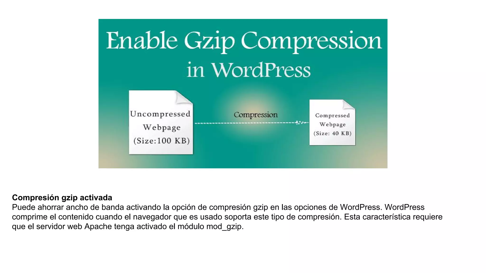 Compresión gzip activada
Puede ahorrar ancho de banda activando la opción de compresión gzip en las opciones de WordPress. WordPress
comprime el contenido cuando el navegador que es usado soporta este tipo de compresión. Esta característica requiere
que el servidor web Apache tenga activado el módulo mod_gzip.
 