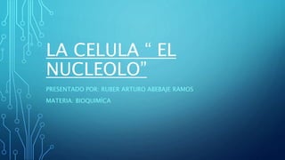 LA CELULA “ EL
NUCLEOLO”
PRESENTADO POR: RUBER ARTURO ABEBAJE RAMOS
MATERIA: BIOQUIMÍCA
 