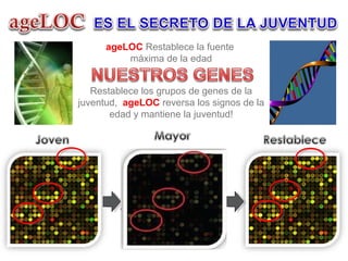 ageLOC Restablece la fuente
máxima de la edad
Restablece los grupos de genes de la
juventud, ageLOC reversa los signos de la
edad y mantiene la juventud!
 