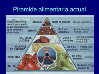Piramide alimentaria actual 
 