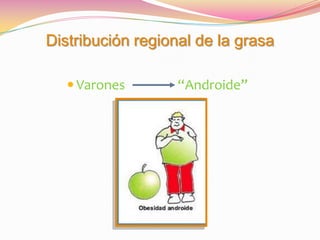 Distribución regional de la grasa

    Varones       “Androide”
 