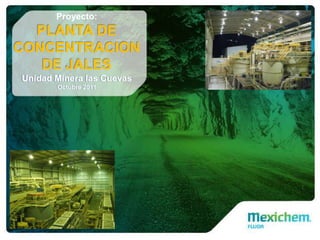 Proyecto:
    PLANTA DE
CONCENTRACION
     DE JALES  Mina
        Las 2011
        Octubre Cuevas
 Unidad Minera las Cuevas
 