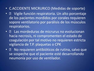 • C.ACCIDENTE MICRURICO (Medidas de soporte)
• 􀂙 Vigile función respiratoria. Un alto porcentaje
de los pacientes mordidos por corales requieren
sopore ventilatorio por parálisis de los músculos
respiratorios.
• 􀂙 Las mordeduras de micrurus no evolucionan
hacia necrosis, ni compromenten el estado de
coagulación por tal motivo no requieren estricta
vigilancia de T.P. plaquetas o CPK
• 􀂙 No requieren antibióticos de rutina, salvo que
se sospeche que el paciente esté desarrollando
neumonía por uso de ventilador.
 