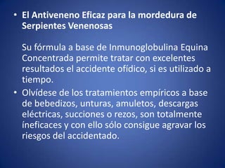 • El Antiveneno Eficaz para la mordedura de
Serpientes Venenosas
Su fórmula a base de Inmunoglobulina Equina
Concentrada permite tratar con excelentes
resultados el accidente ofídico, si es utilizado a
tiempo.
• Olvídese de los tratamientos empíricos a base
de bebedizos, unturas, amuletos, descargas
eléctricas, succiones o rezos, son totalmente
íneficaces y con ello sólo consigue agravar los
riesgos del accidentado.
 