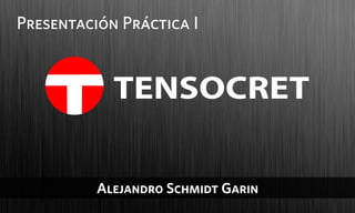Presentación Práctica I




          Alejandro Schmidt Garin
 