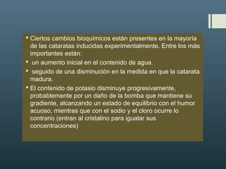  Ciertos cambios bioquímicos están presentes en la mayoría
de las cataratas inducidas experimentalmente. Entre los más
importantes están:
 un aumento inicial en el contenido de agua.
 seguido de una disminución en la medida en que la catarata
madura.
 El contenido de potasio disminuye progresivamente,
probablemente por un daño de la bomba que mantiene su
gradiente, alcanzando un estado de equilibrio con el humor
acuoso, mientras que con el sodio y el cloro ocurre lo
contrario (entran al cristalino para igualar sus
concentraciones)
 