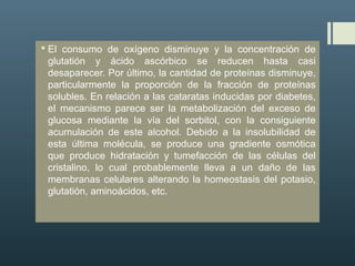  El consumo de oxígeno disminuye y la concentración de
glutatión y ácido ascórbico se reducen hasta casi
desaparecer. Por último, la cantidad de proteínas disminuye,
particularmente la proporción de la fracción de proteínas
solubles. En relación a las cataratas inducidas por diabetes,
el mecanismo parece ser la metabolización del exceso de
glucosa mediante la vía del sorbitol, con la consiguiente
acumulación de este alcohol. Debido a la insolubilidad de
esta última molécula, se produce una gradiente osmótica
que produce hidratación y tumefacción de las células del
cristalino, lo cual probablemente lleva a un daño de las
membranas celulares alterando la homeostasis del potasio,
glutatión, aminoácidos, etc.
 