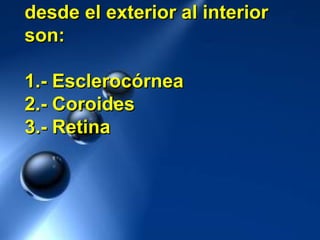 desde el exterior al interiordesde el exterior al interior
son:son:
1.- Esclerocórnea1.- Esclerocórnea
2.- Coroides2.- Coroides
3.- Retina3.- Retina
 