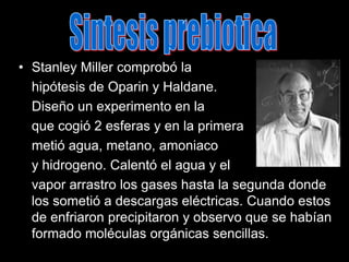 Sintesis prebioticaStanley Miller comprobó la	hipótesis de Oparin y Haldane. 	Diseño un experimento en la 	que cogió 2 esferas y en la primera 	metió agua, metano, amoniaco 	y hidrogeno. Calentó el agua y el 	vapor arrastro los gases hasta la segunda donde los sometió a descargas eléctricas. Cuando estos de enfriaron precipitaron y observo que se habían formado moléculas orgánicas sencillas.