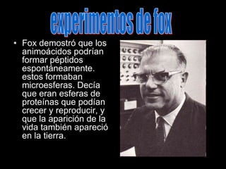 experimentos de foxFox demostró que los animoácidos podrían formar péptidos espontáneamente. estos formaban microesferas. Decía que eran esferas de proteínas que podían crecer y reproducir, y que la aparición de la vida también apareció en la tierra.