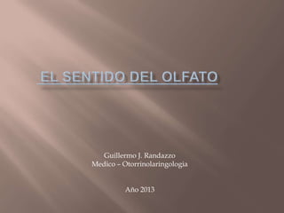 Guillermo J. Randazzo
Medico – Otorrinolaringologia
Año 2013
 