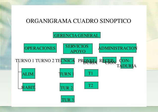 Proceso Adm organización