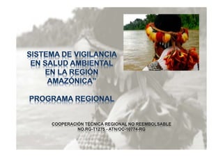 OTCA - Sistema de Vigilancia de Salud Ambiental en la Región Amazónica ...