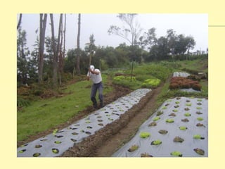 Sobre erosión y terrazas