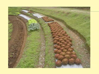 Sobre erosión y terrazas