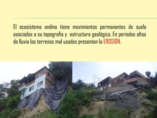 El ecosistema andino tiene movimientos permanentes de suelo asociados a su topografía y estructura geológica. En periodos altos de lluvia los terrenos mal usados presentan la EROSIÓN.