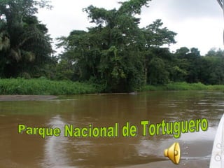 Parque Nacional de Tortuguero 