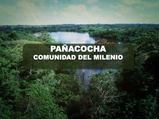 PAÑACOCHA
COMUNIDAD DEL MILENIO
 