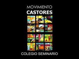 MOVIMIENTO CASTORES COLEGIO SEMINARIO 