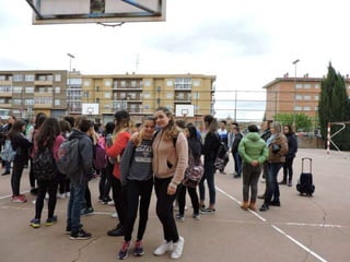 Presentación paella17