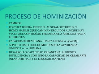 PROCESO DE HOMINIZACIÓN
CAMBIOS:
POSTURA BIPEDA: DESDE EL AUSTRALOPITHECUS, Y
HOMO HABILIS (QUE CAMINAN ERGUIDOS AUNQUE HAY
VECES QUE CONTINÚAN TREPANDOSE A ÁRBOLES) HASTA
EL ERECTUS
CAPACIDAD CREANEANA (HASTA LLEGAR A 1500CM3)
ASPECTO FISICO DEL HOMO: DESDE LA APARIENCIA
SIMIESCA A LA HUMANA
DESARROLLO CAPACIDAD CREANEANA: AUMENTO
INTELIGENCIA Y CON ESTO LA CAPACIDAD DE CREAR ARTE
(NEANDERTHAL) Y EL LENGUAJE (SAPIENS)
 
