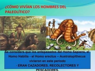 ¿CÓMO VIVÍAN LOS HOMBRES DEL
PALEOLÍTICO?
Se considera que los antepasados del Homo Sapiens, el
Homo Habilis - el Homo erectus – Australopithecus
vivieron en este periodo
- ERAN CAZADORES, RECOLECTORES Y
 