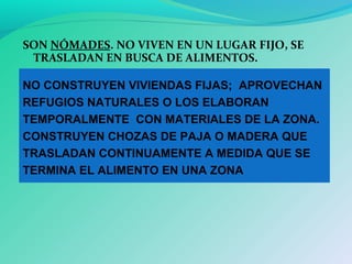 SON NÓMADES. NO VIVEN EN UN LUGAR FIJO, SE
TRASLADAN EN BUSCA DE ALIMENTOS.
NO CONSTRUYEN VIVIENDAS FIJAS; APROVECHAN
REFUGIOS NATURALES O LOS ELABORAN
TEMPORALMENTE CON MATERIALES DE LA ZONA.
CONSTRUYEN CHOZAS DE PAJA O MADERA QUE
TRASLADAN CONTINUAMENTE A MEDIDA QUE SE
TERMINA EL ALIMENTO EN UNA ZONA
 