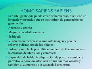 HOMO SAPIENS SAPIENS
Ser inteligente que puede crear herramientas, que tiene un
lenguaje y creencias que se trasnmiten de generación en
generación
Aprende y enseña
Mayor capacidad craneana
Es bipedo
Visión estereoscópica: ve una sola imagen y percibe
relieves y distancias de los objetos
Pulgar oponible: le posibilita el manejo de herramientas y
la creación de utensilios y cerámicas
Capacidad de habla: la adquisición de postura erguida le
permitió la posición adecuada de sus cuerdas vocales y
también al aumento de la capacidad creaneana
 