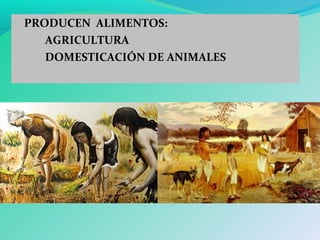 - PRODUCEN ALIMENTOS:
AGRICULTURA
DOMESTICACIÓN DE ANIMALES
 