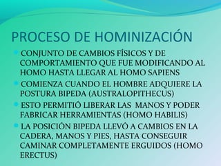 PROCESO DE HOMINIZACIÓN
CONJUNTO DE CAMBIOS FÍSICOS Y DE
COMPORTAMIENTO QUE FUE MODIFICANDO AL
HOMO HASTA LLEGAR AL HOMO SAPIENS
COMIENZA CUANDO EL HOMBRE ADQUIERE LA
POSTURA BIPEDA (AUSTRALOPITHECUS)
ESTO PERMITIÓ LIBERAR LAS MANOS Y PODER
FABRICAR HERRAMIENTAS (HOMO HABILIS)
LA POSICIÓN BIPEDA LLEVÓ A CAMBIOS EN LA
CADERA, MANOS Y PIES, HASTA CONSEGUIR
CAMINAR COMPLETAMENTE ERGUIDOS (HOMO
ERECTUS)
 