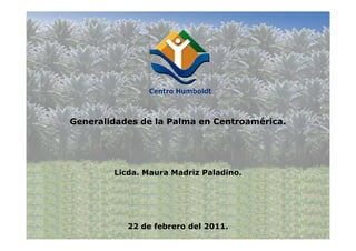 Generalidades de la Palma en Centroamérica.




        Licda. Maura Madriz Paladino.




           22 de febrero del 2011.
 