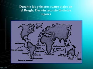 Durante los primeros cuatro viajes en
el Beagle, Darwin recorrió distintos
lugares
 
