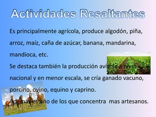 Es principalmente agrícola, produce algodón, piña,
arroz, maíz, caña de azúcar, banana, mandarina,
mandioca, etc.
Se destaca también la producción avícola a nivel
nacional y en menor escala, se cría ganado vacuno,
porcino, ovino, equino y caprino.
Además es uno de los que concentra mas artesanos.
 