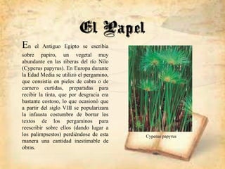 En el Antiguo Egipto se escribía
sobre papiro, un vegetal muy
abundante en las riberas del río Nilo
(Cyperus papyrus). En Europa durante
la Edad Media se utilizó el pergamino,
que consistía en pieles de cabra o de
carnero curtidas, preparadas para
recibir la tinta, que por desgracia era
bastante costoso, lo que ocasionó que
a partir del siglo VIII se popularizara
la infausta costumbre de borrar los
textos de los pergaminos para
reescribir sobre ellos (dando lugar a
los palimpsestos) perdiéndose de esta
manera una cantidad inestimable de
obras.
El Papel
Cyperus papyrus
 
