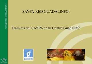 SAYPA-RED GUADALINFO:



Trámites del SAYPA en tu Centro Guadalinfo




                                             1
 