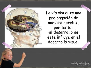 La vía visual es una prolongación de nuestro cerebro, por tanto,  el desarrollo de éste influye en el desarrollo visual. Rosa M. García Hernández  Consciencia Visual 