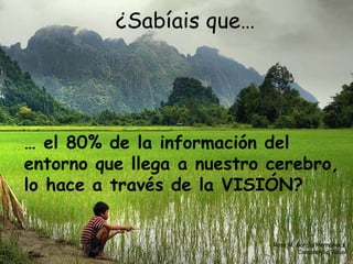 ¿Sabíais que… …  el 80% de la información del entorno que llega a nuestro cerebro, lo hace a través de la VISIÓN? Rosa M. García Hernández  Consciencia Visual 