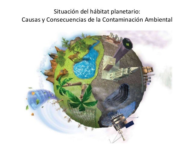 CONTAMINACION: causas de la contaminacion