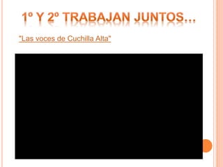 "Las voces de Cuchilla Alta"