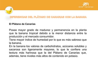 El Plátano de Canarias
Posee mayor grado de madurez y permanencia en la planta
que la banana tropical debido a la menor distancia entre la
producción y el mercado consumidor.
Tiene mayor índice de humedad por lo que es más sabroso que
la banana.
En la banana los valores de carbohidratos, azúcares solubles y
sacarosa son ligeramente mayores, lo que le confiere una
textura más harinosa que la del Plátano de Canarias que,
además, tiene niveles más altos de contenido en potasio.
 