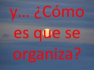y… ¿Cómo
es que se
organiza?
 