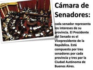Cámara de
Senadores:
cada senador representa
los intereses de su
provincia. El Presidente
del Senado es el
Vicepresidente de la
República. Está
compuesto por tres
senadores por cada
provincia y tres por la
Ciudad Autónoma de
Buenos Aires.
 