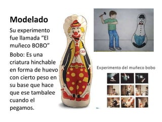 Modelado
Su experimento
fue llamada “El
muñeco BOBO”
Bobo: Es una
criatura hinchable
en forma de huevo
con cierto peso en
su base que hace
que ese tambalee
cuando el
pegamos.
 